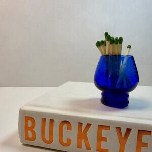 Etched Blue Glass Matchstick Vessel